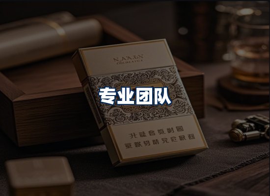 专业团队